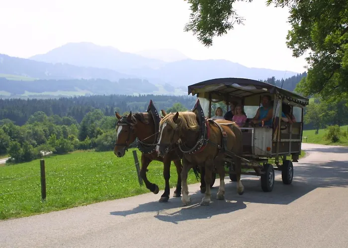 Urheim Rose * Oy-Mittelberg