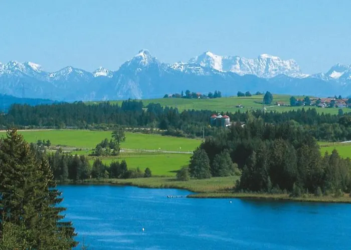 Urheim Rose Oy-Mittelberg