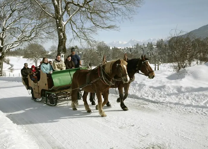 Urheim Rose Oy-Mittelberg