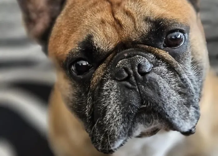 Urheim Rose דירה *