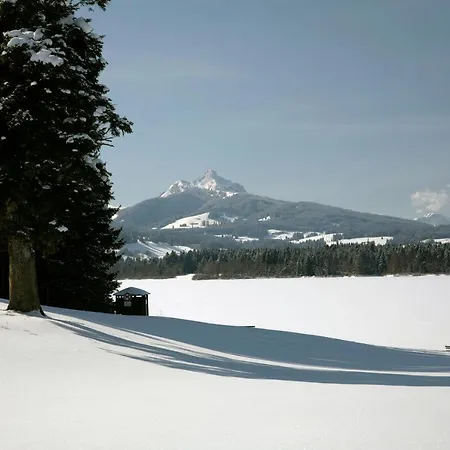 Urheim Rose - Dogfriendly Apartamento *