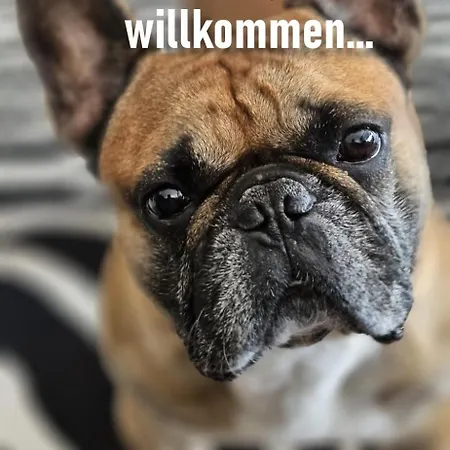 Urheim Rose - Dogfriendly Apartman *